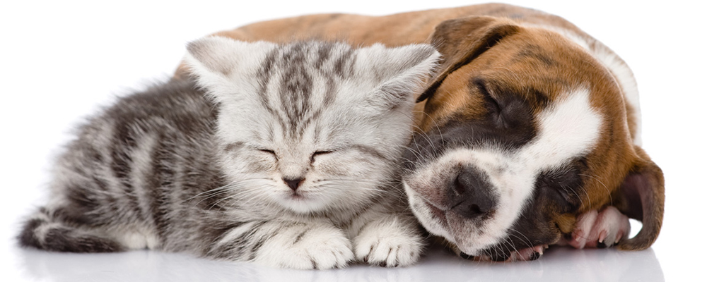 Ordinační hodiny a víkendová pohotovost: